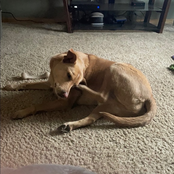 Meet your Posher, Christian - Picture 1 of 1